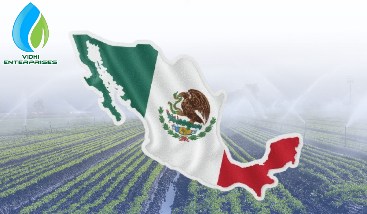 Mexico flag