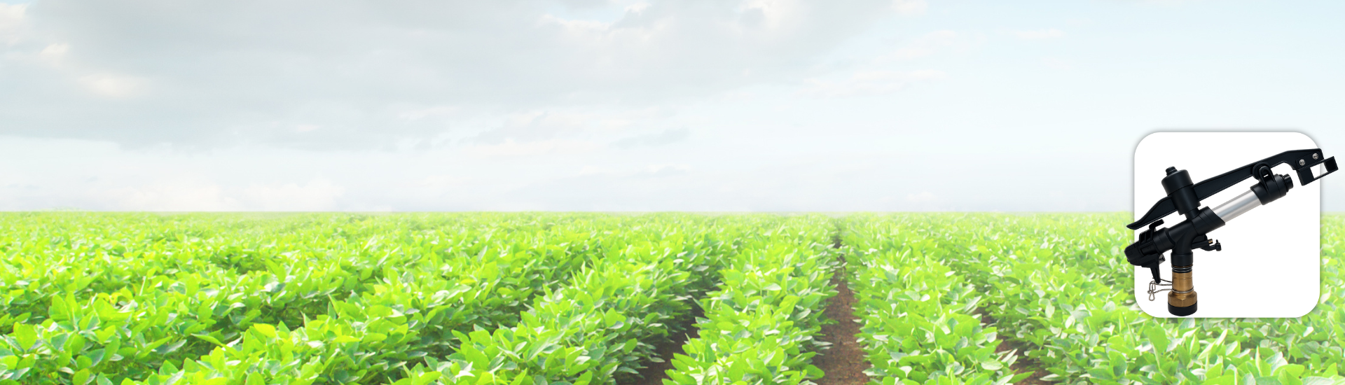 1-1/2" Rain Diamond Sprinkler