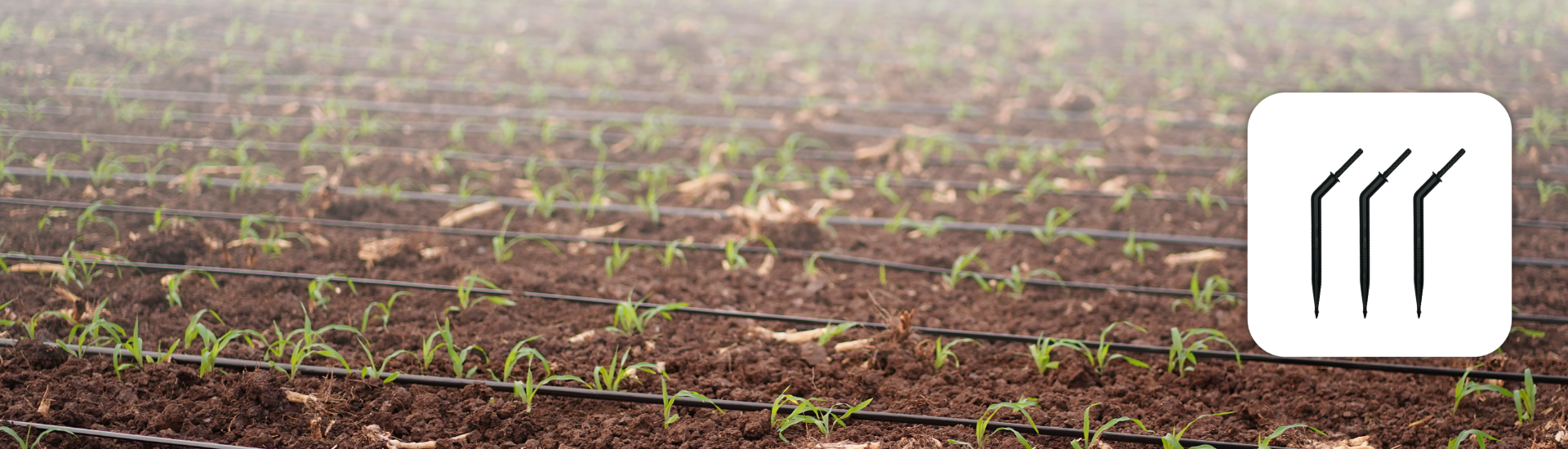 Pot Dripper/Arrow Dripper