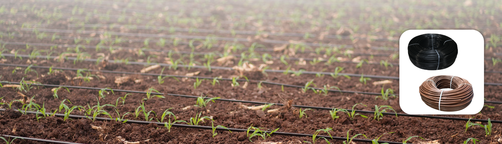 Cylindrical Dripline Emitting Pipe Inline Drip Tube - PC & NON PC