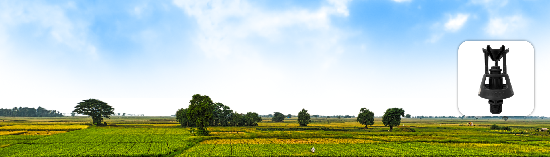 Eco Rotating Sprinkler